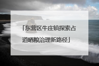 东营区牛庄镇探索占道晒粮治理新路径