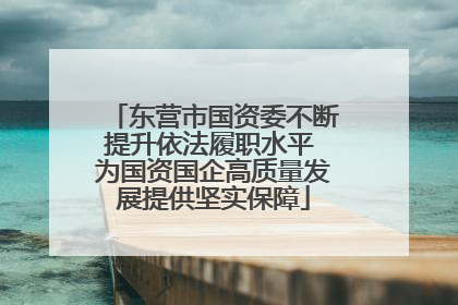 东营市国资委不断提升依法履职水平 为国资国企高质量发展提供坚实保障