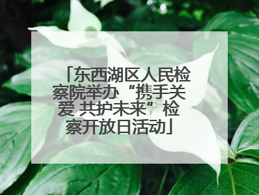 东西湖区人民检察院举办“携手关爱 共护未来”检察开放日活动