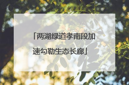 两湖绿道孝南段加速勾勒生态长廊