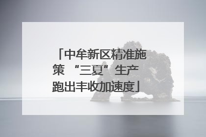 中牟新区精准施策 “三夏”生产跑出丰收加速度