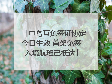 中乌互免签证协定今日生效 首架免签入境航班已抵达