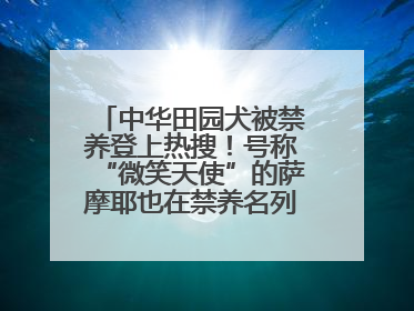 中华田园犬被禁养登上热搜！号称“微笑天使”的萨摩耶也在禁养名列 网友不解西安多部门回应