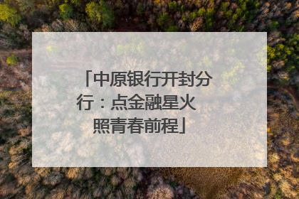 中原银行开封分行：点金融星火 照青春前程