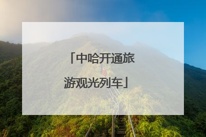 中哈开通旅游观光列车