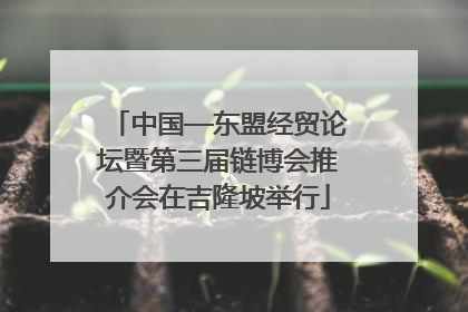 中国—东盟经贸论坛暨第三届链博会推介会在吉隆坡举行