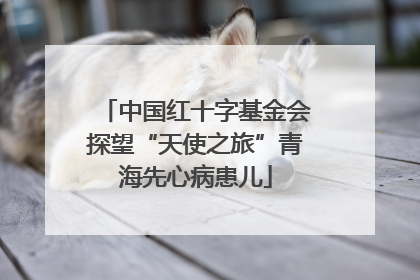 中国红十字基金会探望“天使之旅”青海先心病患儿