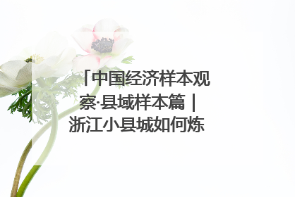 中国经济样本观察·县域样本篇｜浙江小县城如何炼成“国际范”？