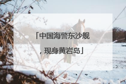 中国海警东沙舰，现身黄岩岛