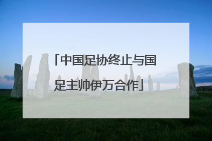中国足协终止与国足主帅伊万合作