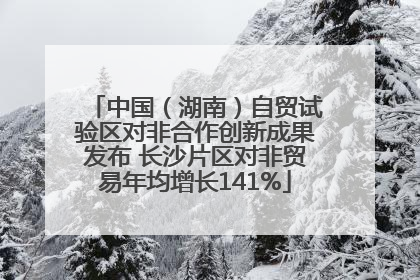 中国（湖南）自贸试验区对非合作创新成果发布 长沙片区对非贸易年均增长141%