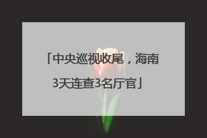 中央巡视收尾，海南3天连查3名厅官