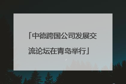 中德跨国公司发展交流论坛在青岛举行