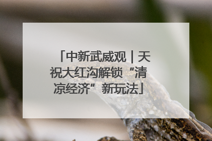 中新武威观｜天祝大红沟解锁“清凉经济”新玩法