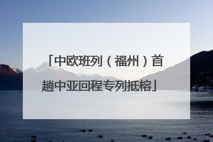 中欧班列（福州）首趟中亚回程专列抵榕