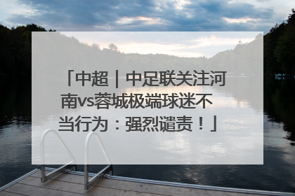 中超｜中足联关注河南vs蓉城极端球迷不当行为：强烈谴责！
