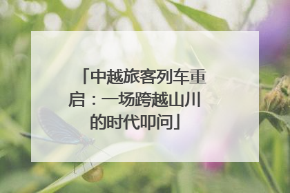 中越旅客列车重启：一场跨越山川的时代叩问
