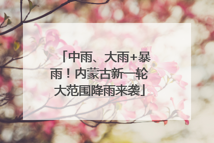 中雨、大雨+暴雨！内蒙古新一轮大范围降雨来袭