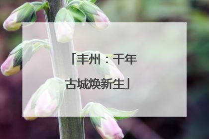 丰州：千年古城焕新生