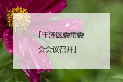丰泽区委常委会会议召开