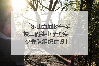 乐山五通桥牛华镇二码头小学夯实少先队组织建设