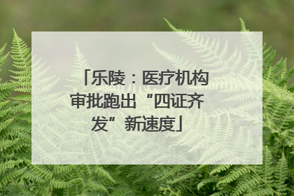 乐陵：医疗机构审批跑出“四证齐发”新速度