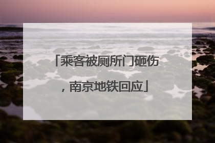乘客被厕所门砸伤，南京地铁回应