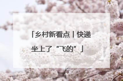 乡村新看点丨快递坐上了“飞的”