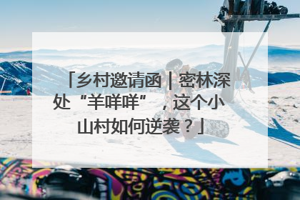 乡村邀请函｜密林深处“羊咩咩”，这个小山村如何逆袭？