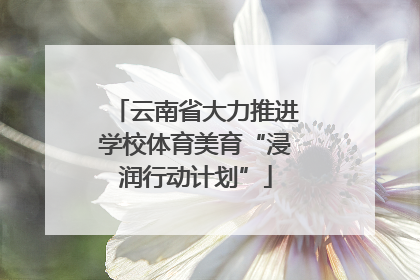 云南省大力推进学校体育美育“浸润行动计划”