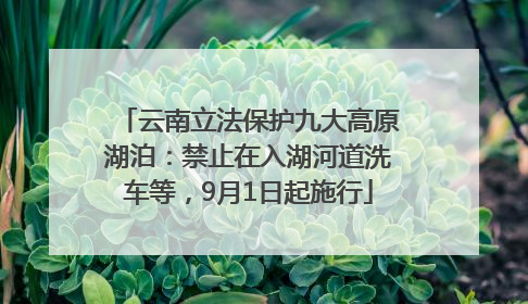 云南立法保护九大高原湖泊：禁止在入湖河道洗车等，9月1日起施行