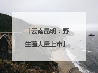 云南昆明：野生菌大量上市