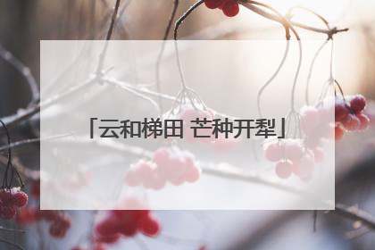 云和梯田 芒种开犁