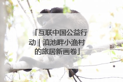 互联中国公益行动｜滇池畔小渔村的旅居新画卷