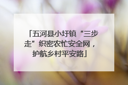 五河县小圩镇“三步走”织密农忙安全网，护航乡村平安路
