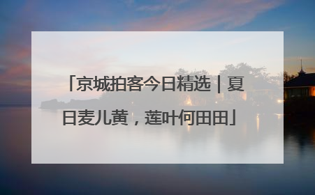 京城拍客今日精选｜夏日麦儿黄，莲叶何田田