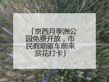 京西月季洲公园免费开放，市民假期驱车前来赏花打卡