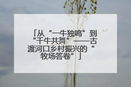 从“一牛独鸣”到“千牛共舞”——古渡河口乡村振兴的“牧场答卷”