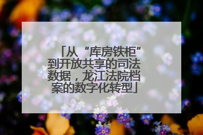 从“库房铁柜”到开放共享的司法数据，龙江法院档案的数字化转型