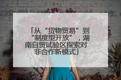 从“货物贸易”到“制度型开放”，湖南自贸试验区探索对非合作新模式