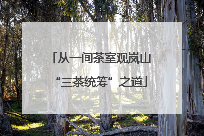 从一间茶室观岚山“三茶统筹”之道