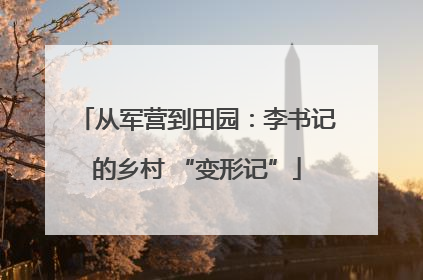 从军营到田园：李书记的乡村 “变形记”