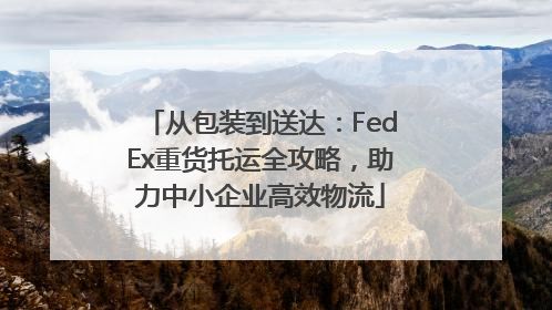 从包装到送达：FedEx重货托运全攻略，助力中小企业高效物流