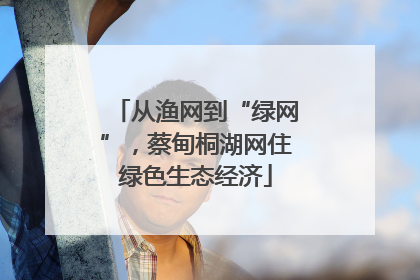 从渔网到“绿网”，蔡甸桐湖网住绿色生态经济