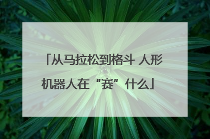 从马拉松到格斗 人形机器人在“赛”什么