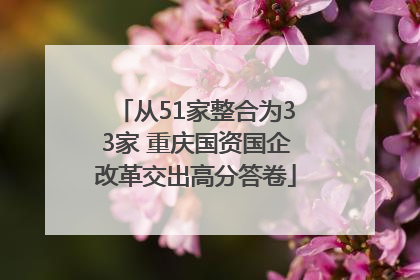 从51家整合为33家 重庆国资国企改革交出高分答卷