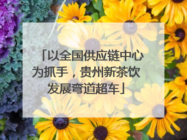 以全国供应链中心为抓手，贵州新茶饮发展弯道超车