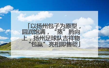 以扬州包子为原型，圆润饱满，“蒸”腾向上，扬州足球队吉祥物“包赢”亮相即售罄