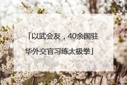 以武会友，40余国驻华外交官习练太极拳