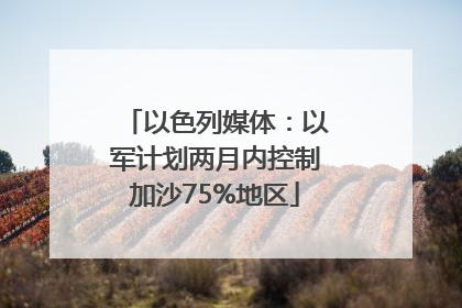 以色列媒体：以军计划两月内控制加沙75%地区